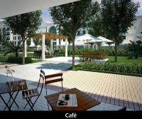 /album/galeria-de-fotos/cafe-jpg1/